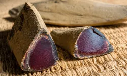 Dünyanın en sert balığı katsuobushi nasıl yapılıyor?