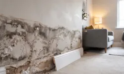 Evdeki nemi önlemenin en etkili yöntemi açıklandı