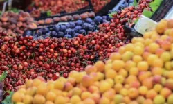 Haziranda fiyatı en çok artan ve düşen ürünler
