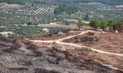 İzmir ve Manisa'da orman yangınları yüzde 47 azaldı