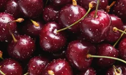 Kirazı güvenle tüketmenin püf noktaları