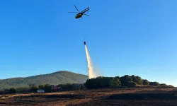 Kütahya Altıntaş Ovası'nda dekarlarca arazi kül oldu