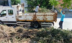 Kütahya Germiyan Kampüsü çevresinde temizlik mesaisi