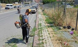 Kütahya Şehir Hastanesi çevresinde ot biçme çalışması gerçekleştirildi