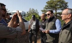 Kütahya Valisi Işın, yangınla ilgili son durumu açıkladı