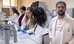 Kütahya’da bor ve gümüş içerikli yara kremleri geliştirildi