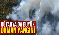 Kütahya'da çıkan orman yangınına müdahale ediliyor
