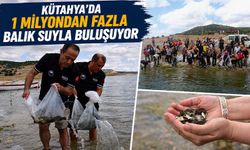 Kütahya’da iç su kaynakları balıklandırılıyor