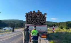 Kütahya’da orman emvali taşıyan araçlara denetim