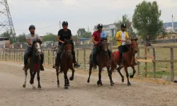 Kütahya’da rahvan atlar, birincilik için yarıştı