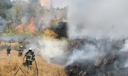 Kütahya'da tarlada çıkan yangın söndürüldü