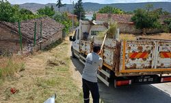 Kütahya'da Uçurtma Şenliği öncesi Sofça'da temizlik çalışması