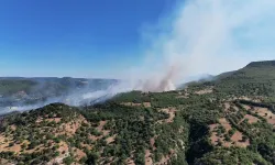 Kütahya'daki büyük yangınla ilgili son durum