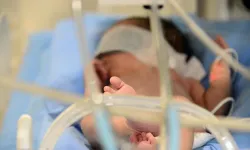 Prematüre bebeklerde ilk aylar "altın dönem" niteliğinde
