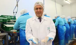 Su ürünleri ve hayvansal mamulleri ihracatı 1,9 milyar doları aştı