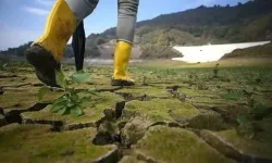 Türkiye'nin iklim kuşakları değişiyor, kuraklık alanı genişliyor