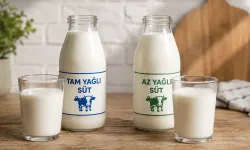 Az yağlı süt ürünleri hakkında bilinenler değişiyor