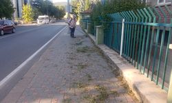 Fevzi Çakmak Caddesi’nde ot biçimi ve temizlik mesaisi