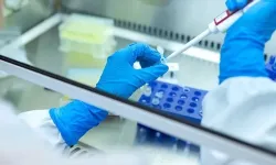 Kanser hücrelerinin bağışıklıktan kaçış sırrı çözüldü