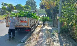 Kütahya Cumhuriyet Mahallesi’nde temizlik çalışması