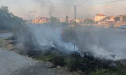 Kütahya’da boş arazide ot yangını
