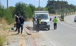 Kütahya’da Çamlıca Tabiat Parkı yolunda ot biçimi ve temizlik çalışması