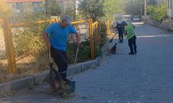 Kütahya’da Evliya Çelebi Mahallesi’nde ot temizliği