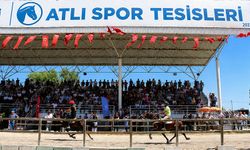 Kütahya’da rahvan atlar, Türkiye şampiyonası için yarıştı