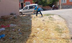 Kütahya’da temizlik ve ot biçme çalışmaları devam ediyor