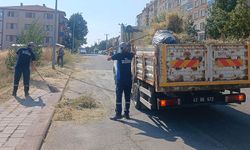 Kütahya’da Yunus Emre Mahallesi’nde ot biçimi ve temizlik çalışmaları