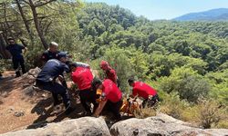 Muğla’da ormanlık alanda bir kişi ölü bulundu