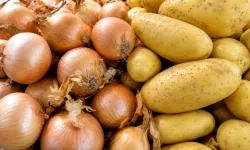 Patates ve soğanı yazın böyle saklayın