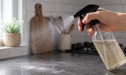 Böcek sorununa kökten çözüm: Karabiber ve su yetiyor