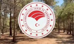 Tarım ve Orman Bakanlığı personel alımı başvuruları başladı