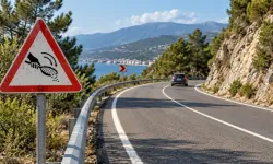 Sürücülerin karıştırdığı trafik levhası ne anlama geliyor?