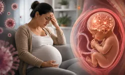 Gebelikte anne hastalıkları fetal beyin gelişimini etkiliyor