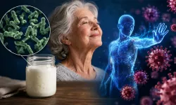Kefir bakterisi yaşlanmaya bağlı bağışıklığı etkiliyor