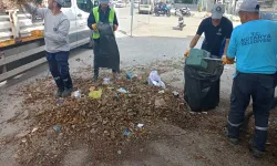 Kütahya’da temizlik ekiplerinden “Sonbahar” temizliği