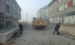 Kütahya’da üniversitede otlar temizlendi