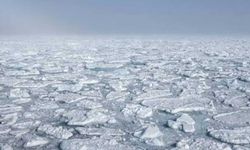 Antarktika deniz buzunda tarihi düşüş