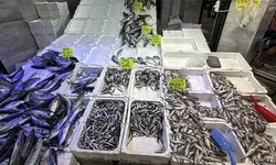 Balık tezgahlarında bolluk! Fiyatlar dikkat çekiyor