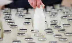 Çiğ süt üreticilerine yeni destek: Şartlar açıklandı