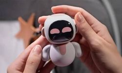 Çocukların kullandığı robotta veri güvenliği endişesi