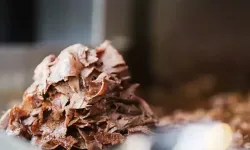 İnternetten yemek siparişinde gramaj dönemi başlıyor