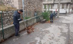 Kütahya'da Lala Hüseyin Paşa Mahallesi’nde yaprak temizliği