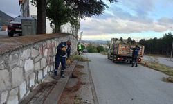 Kütahya’da ot biçme çalışmaları sürüyor