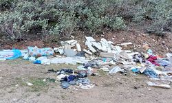 Kütahya’da piknik alanına insan eli değdi, sonuç bu