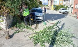 Kütahya’da “Sonbahar” temizliği sürüyor