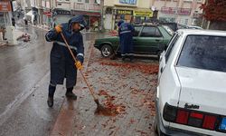 Kütahya'da Spor Caddesi'nde yaprak temizliği yapıldı