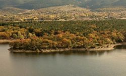 Kütahya’da Yellice Dağı, sonbahar renklerine büründü